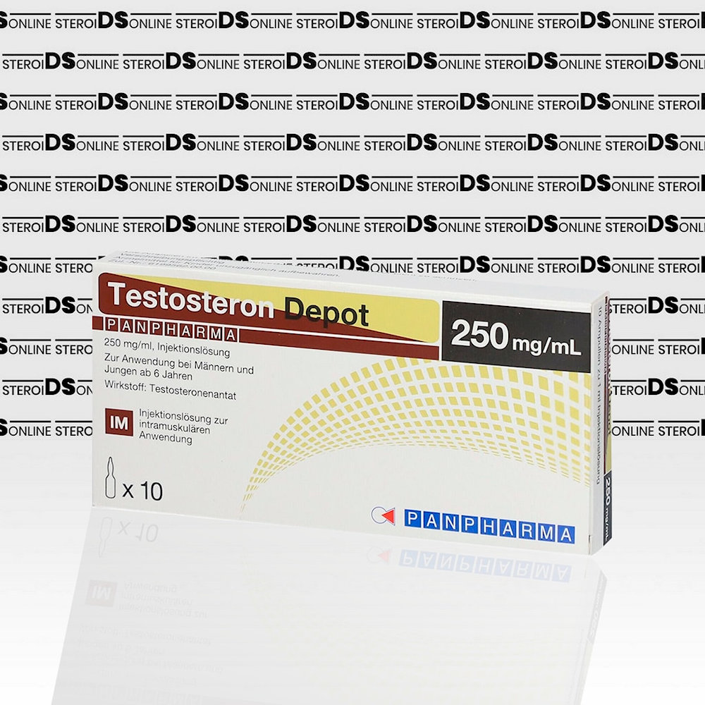 Testosteron Depot 250 mg Panpharma